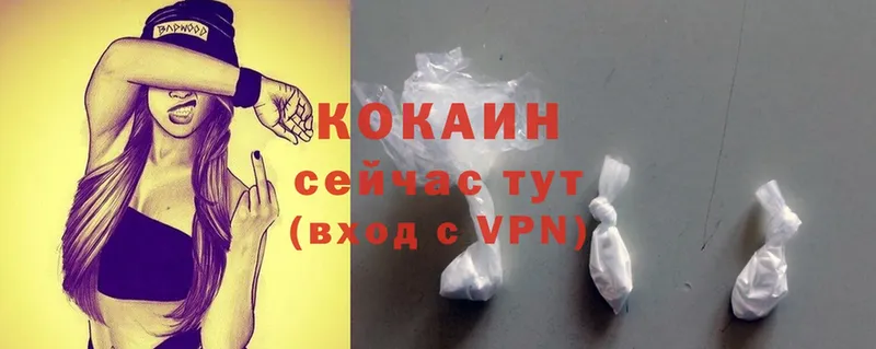 Cocaine FishScale  Весьегонск 